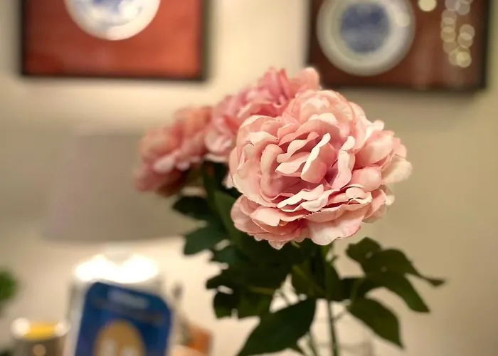 Rondo בית אירוח